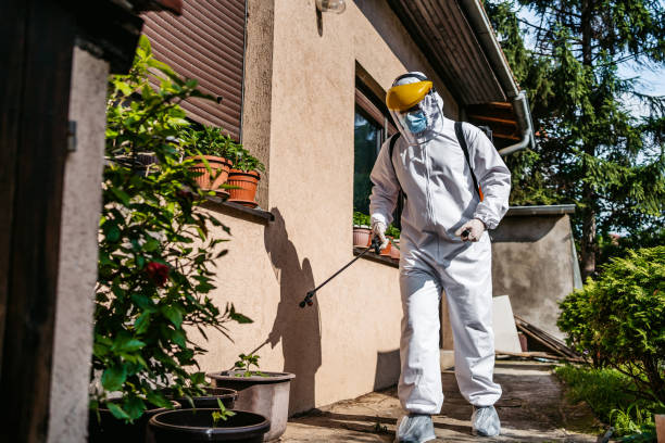 Best Wildlife Control Services  in Gorevle, IL