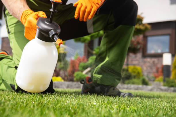 Best Best Pest Control Companies  in Gorevle, IL