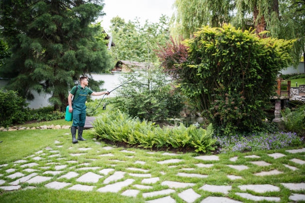 Best Pest Control Near Me  in Gorevle, IL