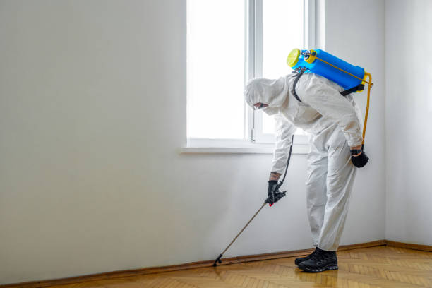 Best Rat Extermination Near Me  in Gorevle, IL