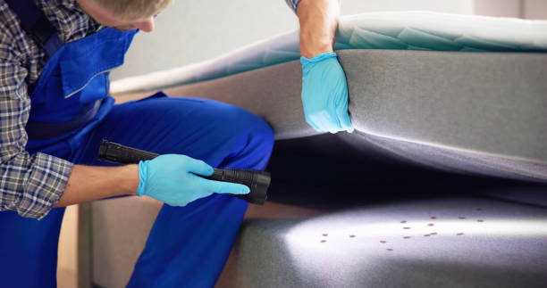 Flea Control Services in Goreville, IL