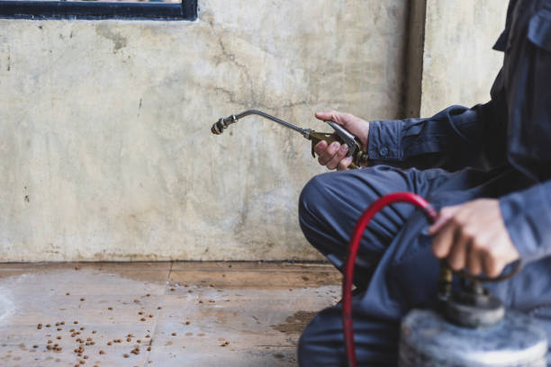 Best Pest Prevention Services  in Gorevle, IL